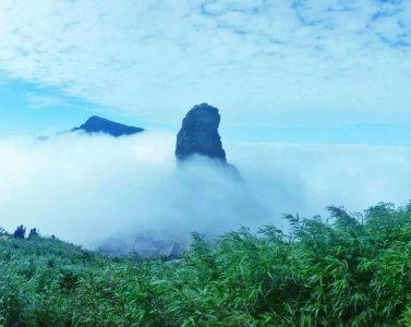 ​梵净山最新门票攻略！