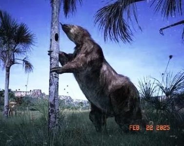 ​地球古生物——大地懒