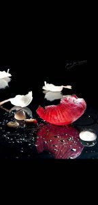 ​中国传统文化关键词-花间词