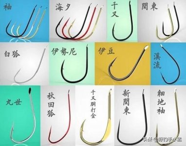 ​野钓用伊势尼还是伊豆（伊势尼和伊豆哪个更适合野钓）