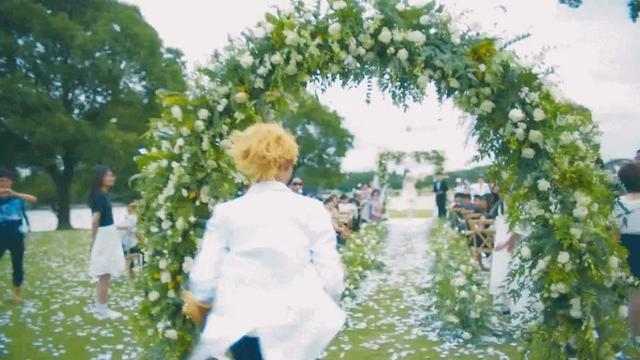 网络广告营销案例分析(十大经典网络营销案例分析)