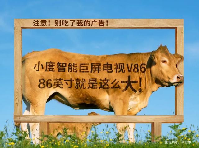 网络广告营销案例分析(十大经典网络营销案例分析)