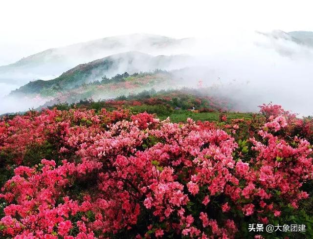 去井冈山一定要玩什么景点（红色之旅看江西）(31)