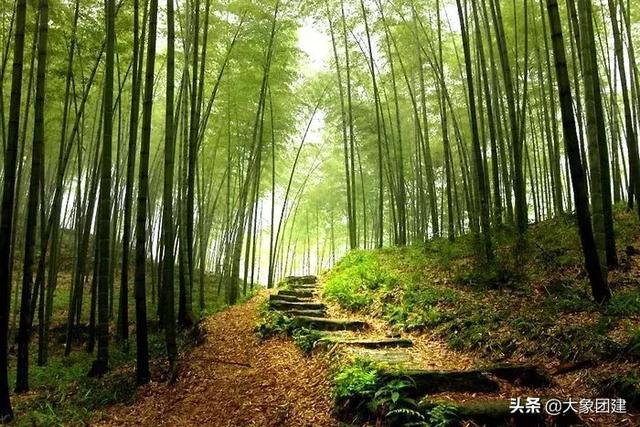 去井冈山一定要玩什么景点（红色之旅看江西）(36)