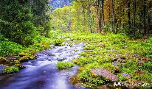 张家界个人自由行攻略(2022张家界旅游攻略)