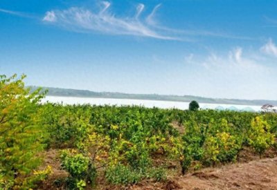 ​这一年，这些人，这些事