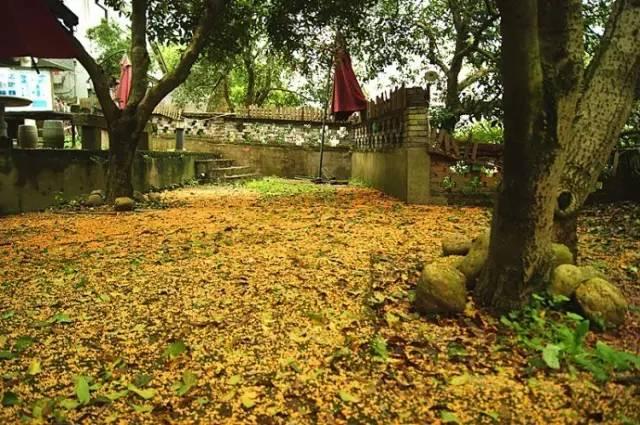 桂花香宜人旅游攻略（常州及周边赏桂全攻略）(15)