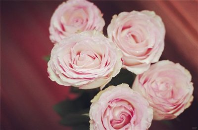 ​2019最火的微信签名，字字舒服，让你恍然大悟