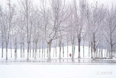 ​一觉醒来，北京的雪又“到货”了！一大波美图→