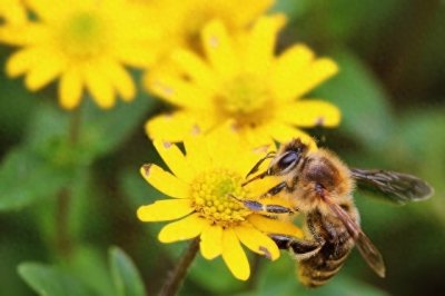 ​流传千古的民间谚语俗话（七十四）