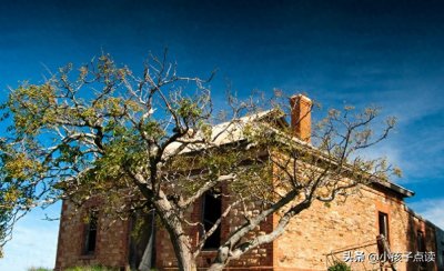 ​唐代杜甫《宾至》古诗欣赏及解析 涨知识