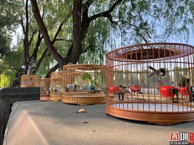 ​京味儿十足！最独特视角的什刹海游玩攻略