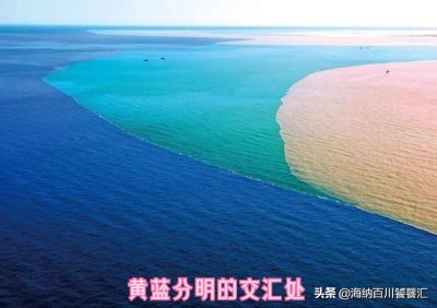 ​中国美食山东篇——东营黄河刀鱼