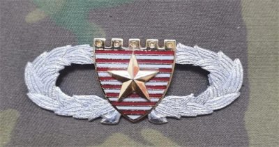 ​陆军胸标的进化史