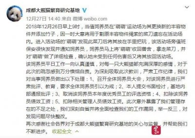 ​熊猫“萌萌”玩菜刀？熊猫基地：刀是饲养员遗落，已进行处罚