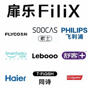 ​电动牙刷哪个牌子好？品牌前十名榜单重磅分享，口碑与实力并存！