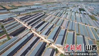 ​山西夏县：现代农业示范园起航 点亮乡村振兴路