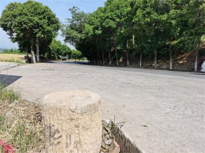 ​宝鸡市蟠龙山｜乡村振兴蟠龙新区