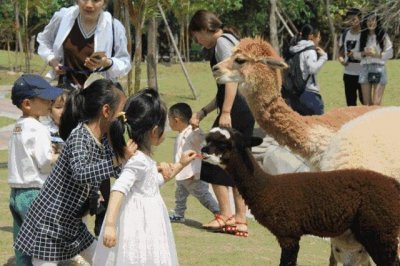 ​儿童乐园加盟相关政策以及费用你了解吗？