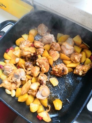 土豆黄焖鸡做法教程你喜欢吃吗？那就学着做吧