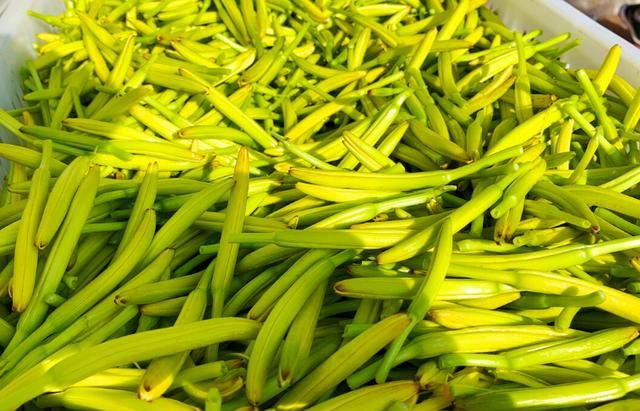 新鲜黄花菜需要抽芯吗