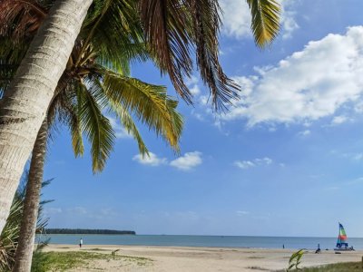 ​冬天海南夏天威海，买“旅居房”的上海阿姨赚了吗？