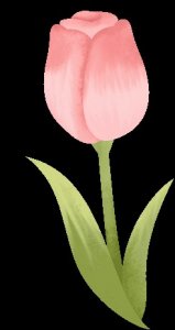 ​手绘壁纸来一波！以绘画定格洛克·外滩源百年建筑风华