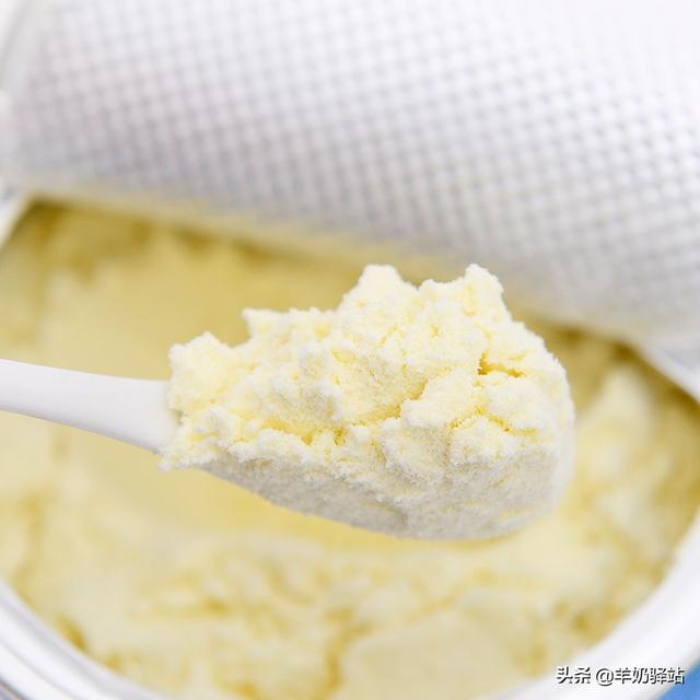 羊奶粉是什么(科普羊奶粉知识)(1)