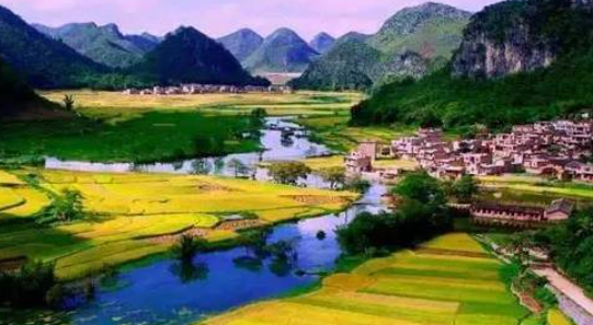 安顺花海风景区在哪里,西安格桑花海在哪里图5