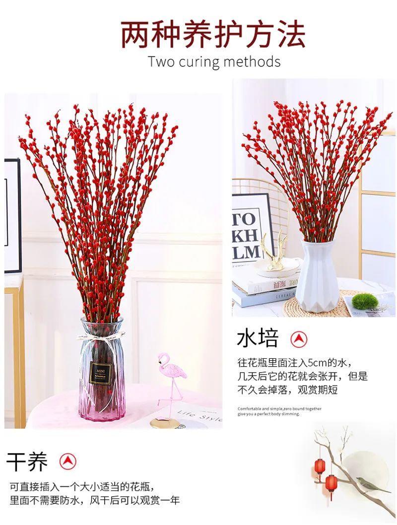 年宵花银柳的养殖(银柳怎么养要加水吗)