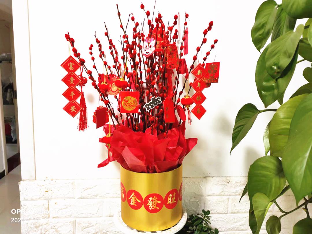 年宵花银柳的养殖(银柳怎么养要加水吗)