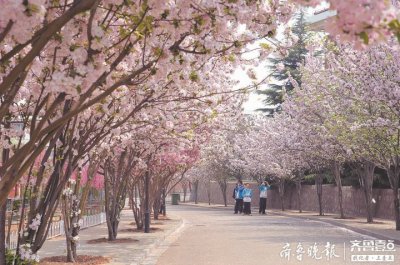 ​胶州实验初中：润泽生命 追求卓越