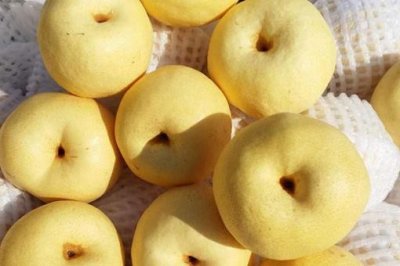 ​男怕柿子女怕梨,母猪最怕西瓜皮什么意思