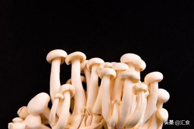 ​白玉菇和海鲜菇的区别(白玉菇和海鲜菇哪个好)