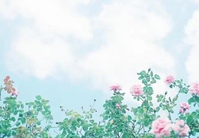 ​谈独特谈与众不同