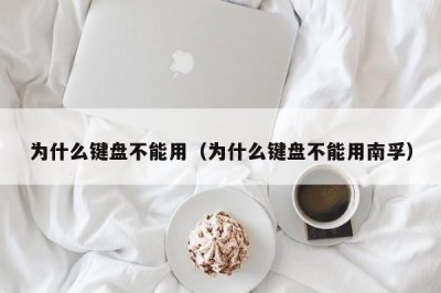 ​为什么键盘不能用（为什么键盘不能用南孚）