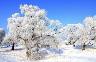 3.雪乡还可以欣赏雾凇和奇特的北国风光。