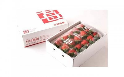 ​亲人逝去，不掉眼泪的人，大多是以下几种人