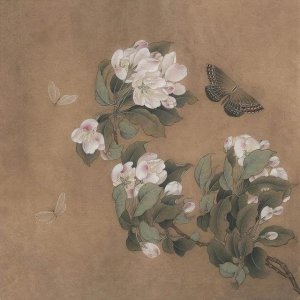 ​茅台青印如何(茅台青印价格)