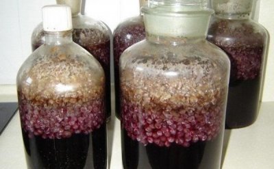 ​酿葡萄酒的做法(酿葡萄酒用什么葡萄)