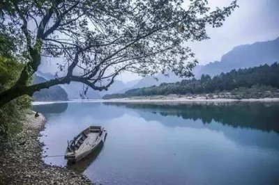 ​诗中佳作滁州西涧的作者是谁（韦应物是哪个朝代的）