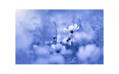 ​处女座和什么座最配，最佳配对第一名是他