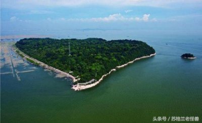 安徽产古王醇酒45度价格表(安徽古酒股份有限公司)