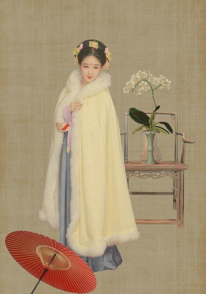 北宋王安石的儿子王雱的一首词《眼儿媚》引发的公案