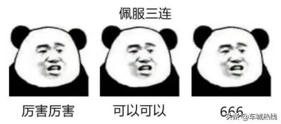 十堰东风国际学校，十堰这个学校今年要火