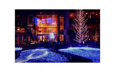 ​最有效的助性技巧是什么？