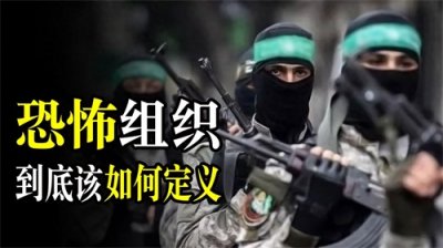​恐怖组织到底该如何定义？从意识形态到个人仇恨，背后原因不相同