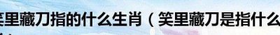 ​笑里藏刀打一动物（笑里藏刀打一动物为什么是羊）
