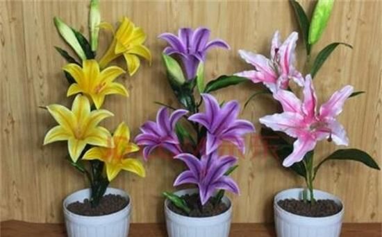 百合花怎么养殖方法和注意事项 详细介绍一下