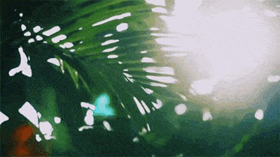 麦芙迪香水怎么样（一文讲解源自中国本土的香氛公司）